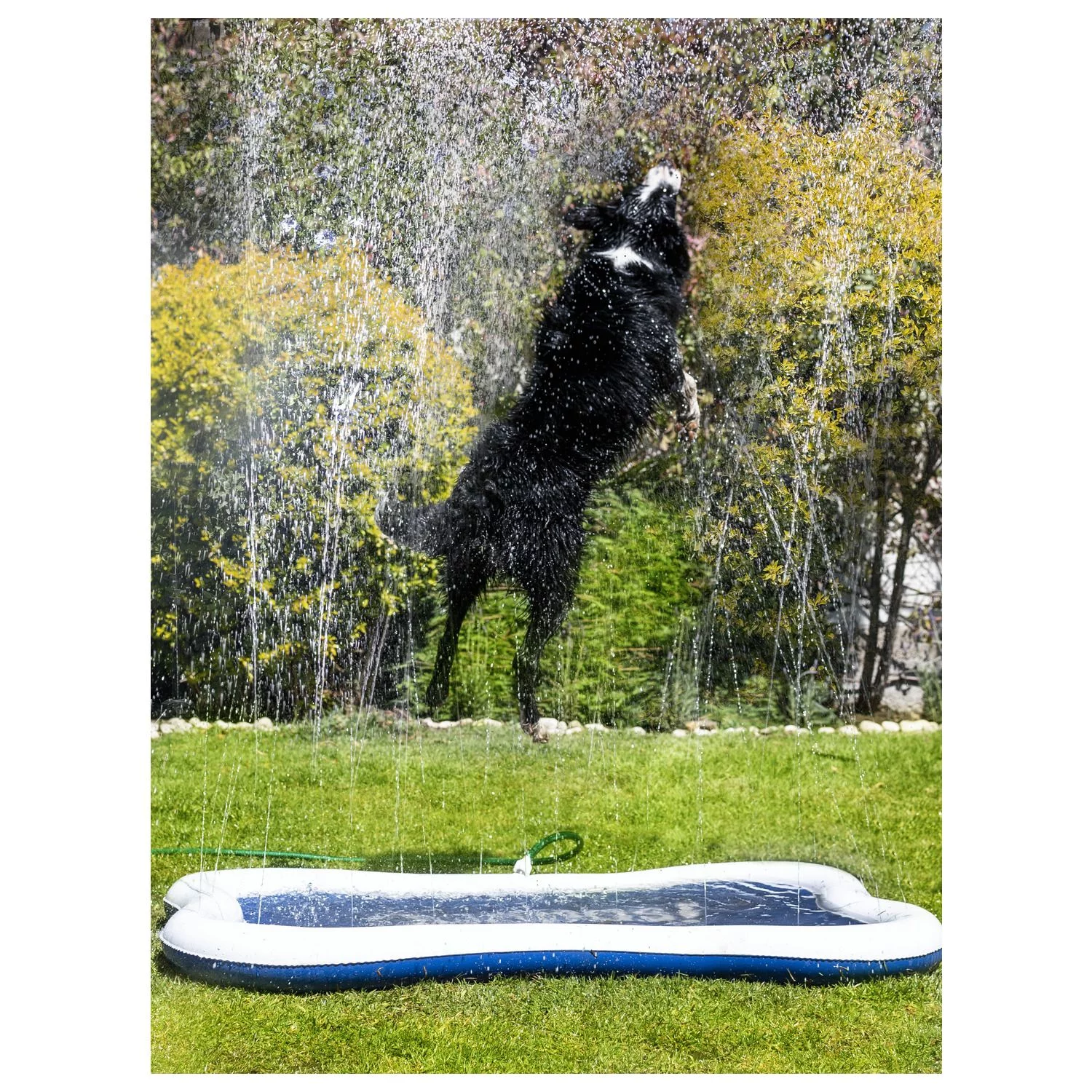 Quapas! Dog Sprinkle Mat - Watermat - 140x90 Cm Blauw Wit 3 Quapas! Dog Sprinkle Mat - Watermat - 140x90 Cm Blauw Wit - Afbeelding 3