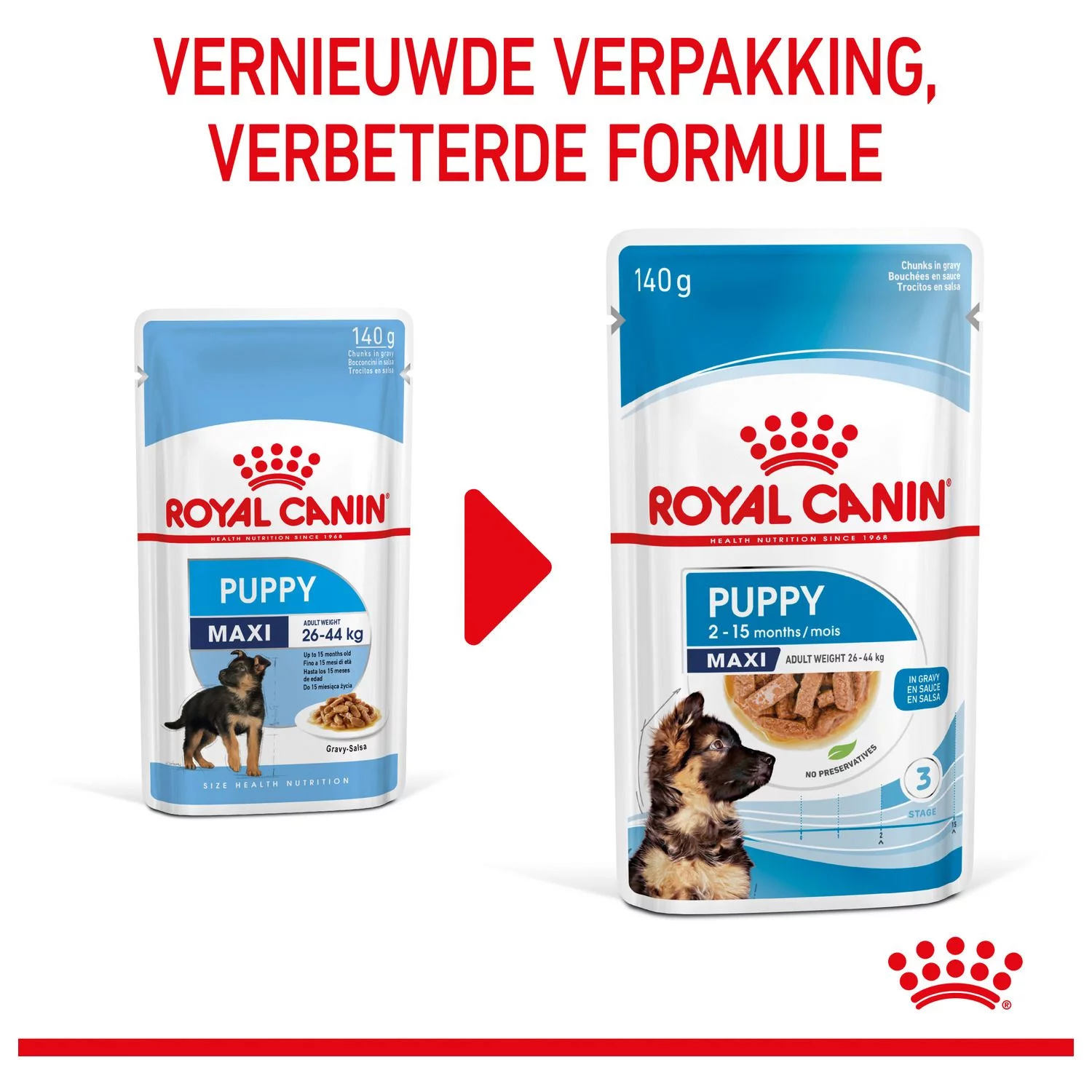 Royal Canin Maxi Natvoer - Puppy-Hondenvoer - 10x140 G 10 Royal Canin Maxi Natvoer - Puppy-Hondenvoer - 10x140 G - Afbeelding 10