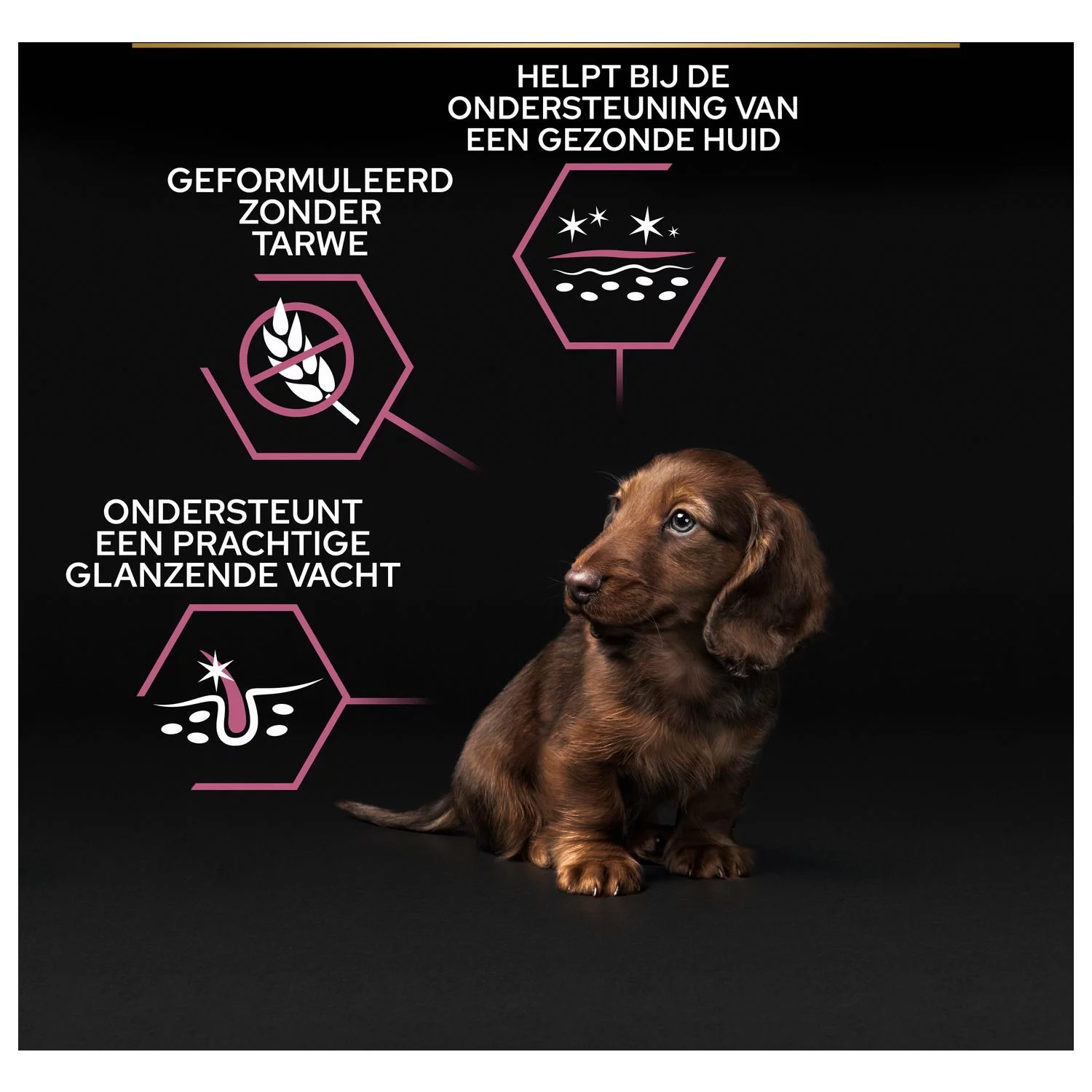 Pro Plan Dog Puppy Small & Mini Breed Sensitive Skin - Hondenvoer - Zalm 3 Kg 10 Pro Plan Dog Puppy Small & Mini Breed Sensitive Skin - Hondenvoer - Zalm 3 Kg - Afbeelding 10