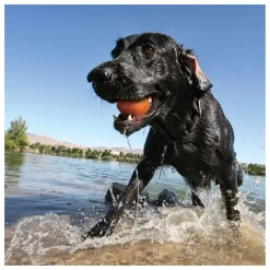 Kurgo Skipping Stones - Hondenspeelgoed - Assorti 2 Stuks -Dierbenodigdheden-Honden 6638 30021329 6