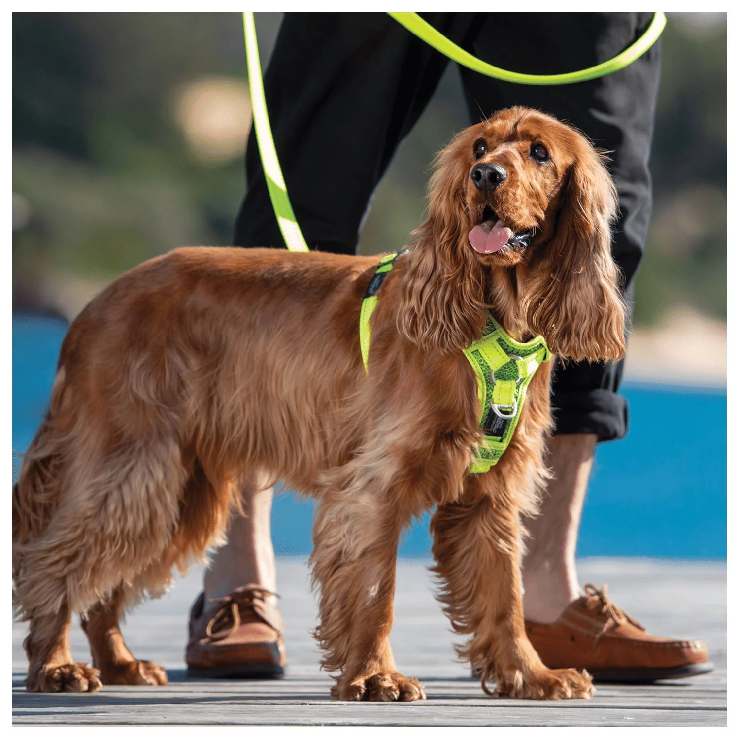 Rogz Utility Control Tuig Roze - Hondenharnas 2 Rogz Utility Control Tuig Roze - Hondenharnas - Afbeelding 2