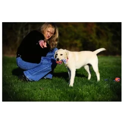 Chuckit! Chuckit Ultra Toss Oranje&Blauw&Wit - Hondenspeelgoed -Dierbenodigdheden-Honden 6710 M 30012537 4