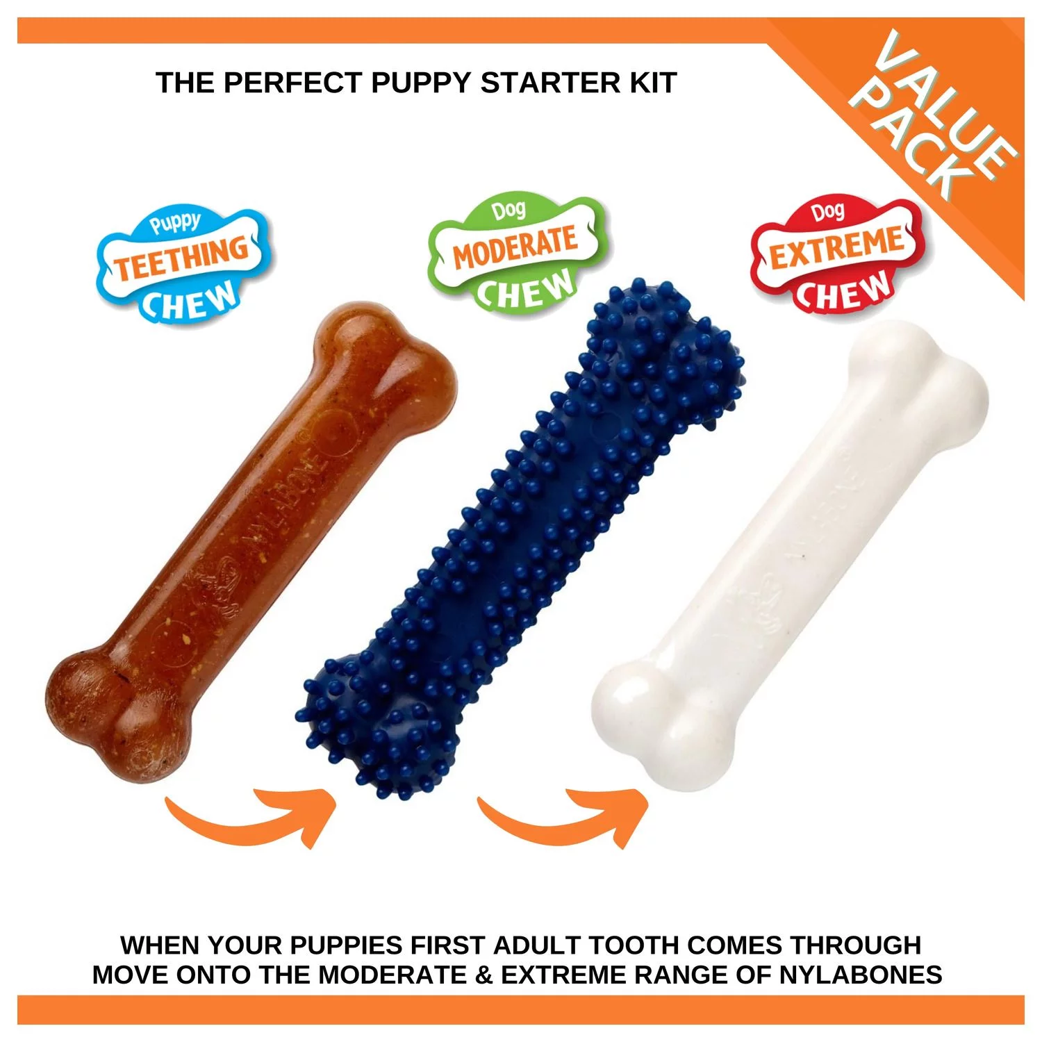 Nylabone Puppy Starter Kit Regular - Hondenspeelgoed - Kip Blauw Bruin Wit 3 Stuks Voor Honden Tot 11kg S 2 Nylabone Puppy Starter Kit Regular - Hondenspeelgoed - Kip Blauw Bruin Wit 3 Stuks Voor Honden Tot 11kg S - Afbeelding 2