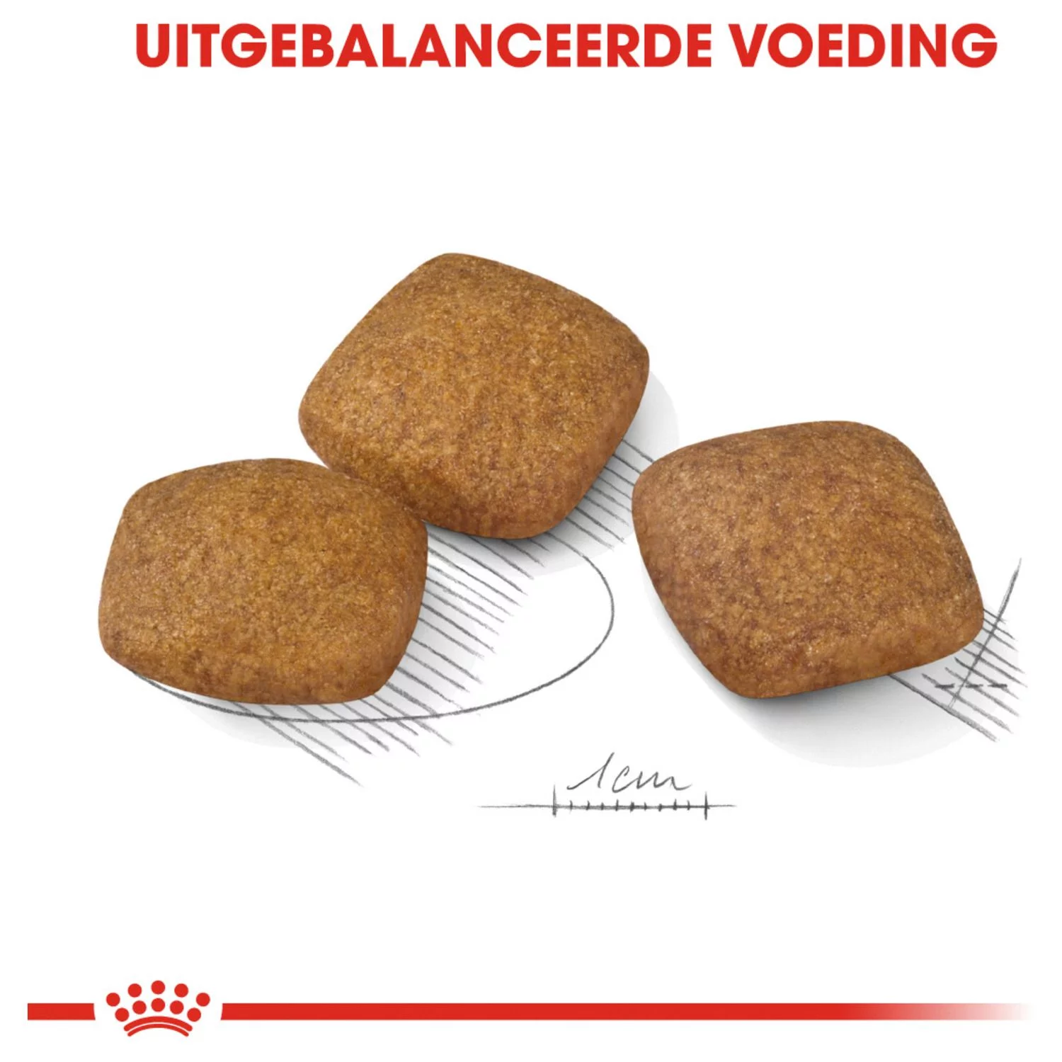 Royal Canin Relax Care Maxi - Hondenvoer 4 Royal Canin Relax Care Maxi - Hondenvoer - Afbeelding 4