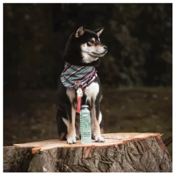 Greenfields Sensitive Care Set - Hondenvachtverzorging - 2x250 Ml 6 Greenfields Sensitive Care Set - Hondenvachtverzorging - 2x250 Ml -Dierbenodigdheden-Honden 6780 10054201 3