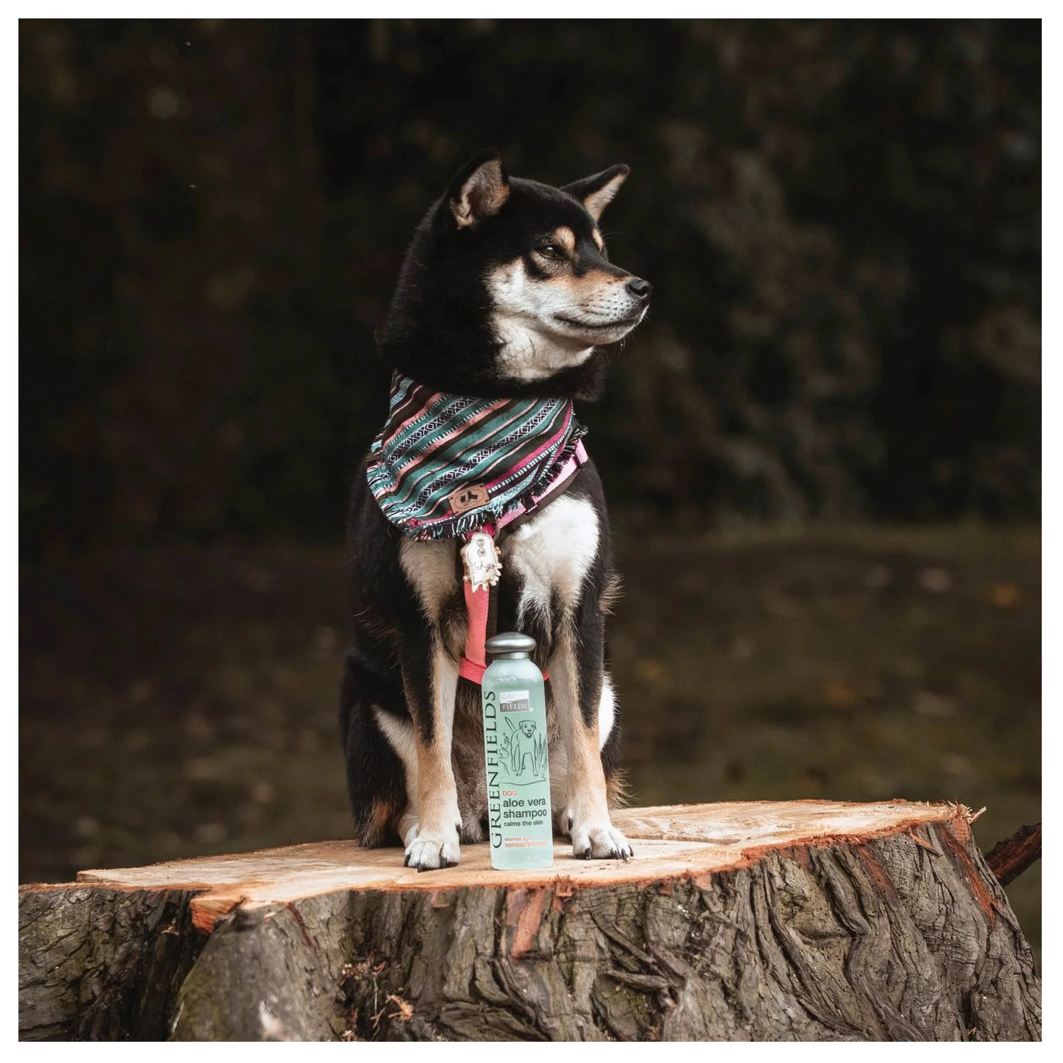 Greenfields Sensitive Care Set - Hondenvachtverzorging - 2x250 Ml 3 Greenfields Sensitive Care Set - Hondenvachtverzorging - 2x250 Ml - Afbeelding 3