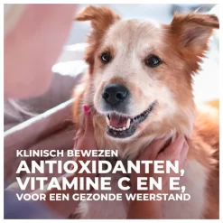 Hill's Canine Senior 11plus Small Mini - Hondenvoer - Kip 1.5 Kg -Dierbenodigdheden-Honden 6854 115133 6