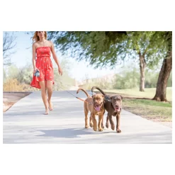 Wigzi Duo Rollijn - Hondenriem - 3 M Grijs Tot 22 Kg Per Hond 9 Wigzi Duo Rollijn - Hondenriem - 3 M Grijs Tot 22 Kg Per Hond -Dierbenodigdheden-Honden 6871 10054397 5