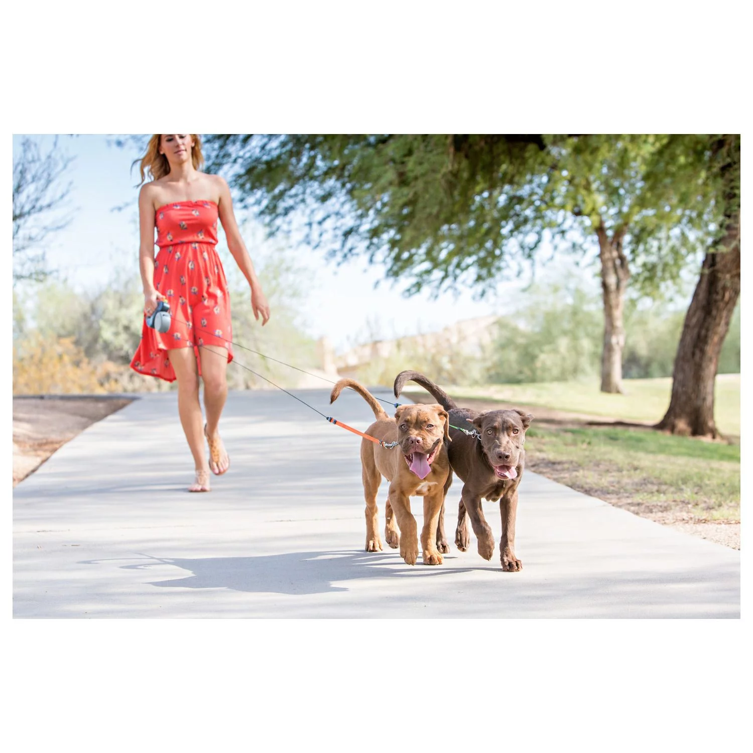 Wigzi Duo Rollijn - Hondenriem - 3 M Grijs Tot 22 Kg Per Hond 5 Wigzi Duo Rollijn - Hondenriem - 3 M Grijs Tot 22 Kg Per Hond - Afbeelding 5