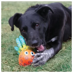 Kong Shieldz Tropics Ocuopus - Hondenspeelgoed - Oranje 5 Kong Shieldz Tropics Ocuopus - Hondenspeelgoed - Oranje -Dierbenodigdheden-Honden 6884 30023594 3