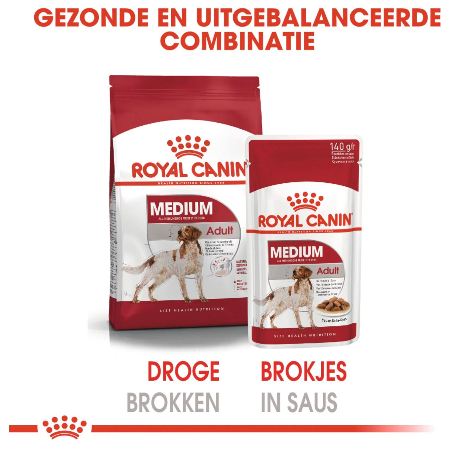 Royal Canin Medium Adult Natvoer - Hondenvoer - 10x140 G 4 Royal Canin Medium Adult Natvoer - Hondenvoer - 10x140 G - Afbeelding 4