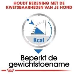 Royal Canin Light Weight Care Natvoer - Hondenvoer - 12x85 G 11 Royal Canin Light Weight Care Natvoer - Hondenvoer - 12x85 G -Dierbenodigdheden-Honden 6948 10044787 4