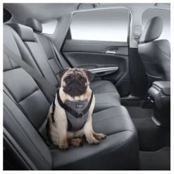 All For Paws Honden Autogordel - Hondenautoaccessoire - Nek46-76/Borst 61-86 Cm Grijs -Dierbenodigdheden-Honden 6959 10047383 4