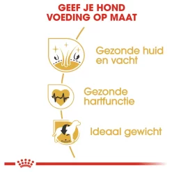 Royal Canin Golden Retriever Adult - Hondenvoer 11 Royal Canin Golden Retriever Adult - Hondenvoer -Dierbenodigdheden-Honden 6968 M 120682 4