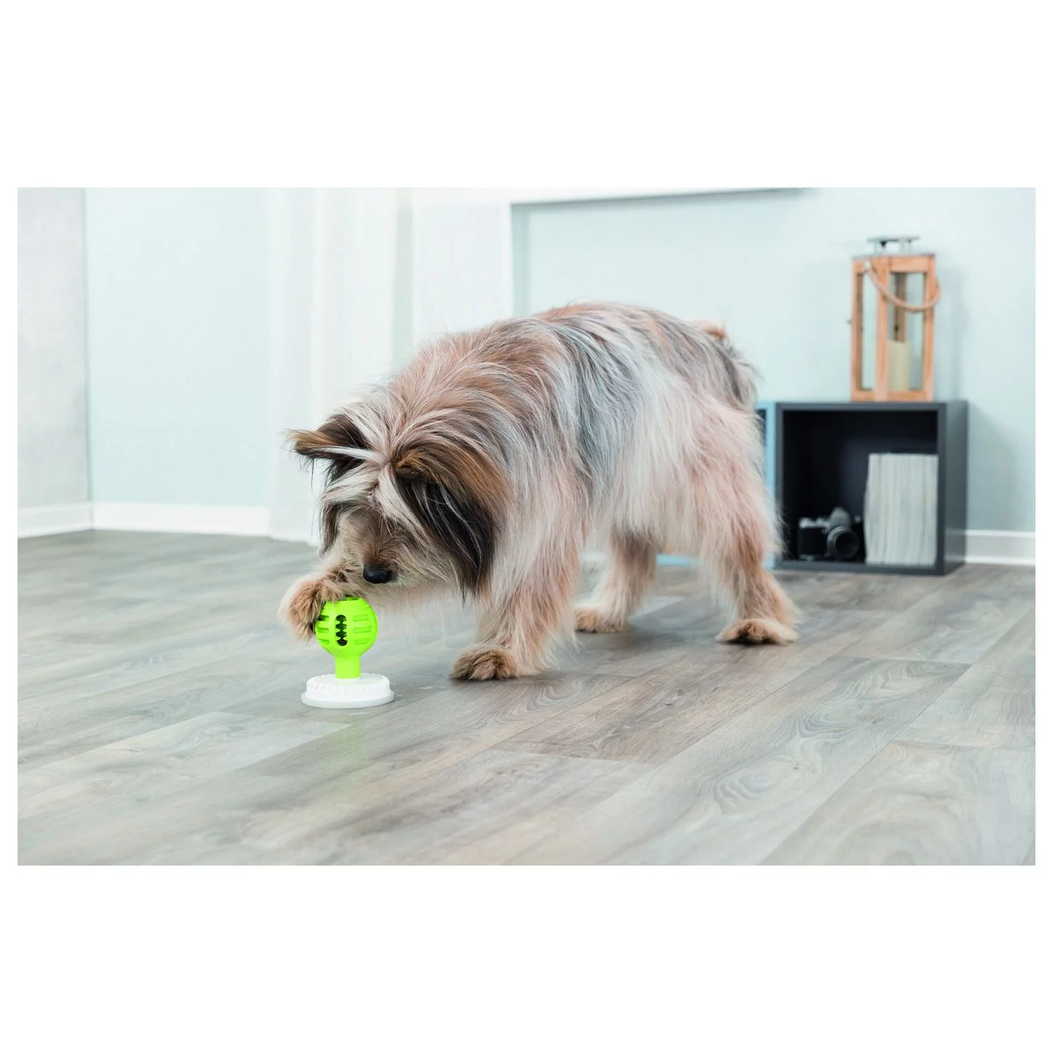 Trixie Lick'N' Snack Bal - Hondenspeelgoed - Ø8/12x13 Cm Groen Grijs 9 Trixie Lick'N' Snack Bal - Hondenspeelgoed - Ø8/12x13 Cm Groen Grijs - Afbeelding 9