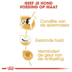 Royal Canin French Bulldog Adult - Hondenvoer -Dierbenodigdheden-Honden 7070 M 140551 4