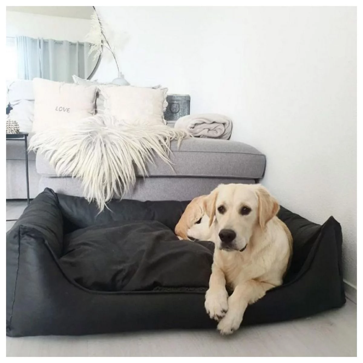 Maxxnobel Orthopedische Sofa Lederlook/Teddy Zwart - Hondenbank 9 Maxxnobel Orthopedische Sofa Lederlook/Teddy Zwart - Hondenbank - Afbeelding 9