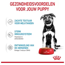 Royal Canin Maxi Natvoer - Puppy-Hondenvoer - 10x140 G 13 Royal Canin Maxi Natvoer - Puppy-Hondenvoer - 10x140 G -Dierbenodigdheden-Honden 7114 10024482 4