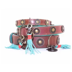 Dwam Halsband Urban Bruin&Turquoise - Hondenhalsband 12 Dwam Halsband Urban Bruin&Turquoise - Hondenhalsband -Dierbenodigdheden-Honden 7126 M 340651 2
