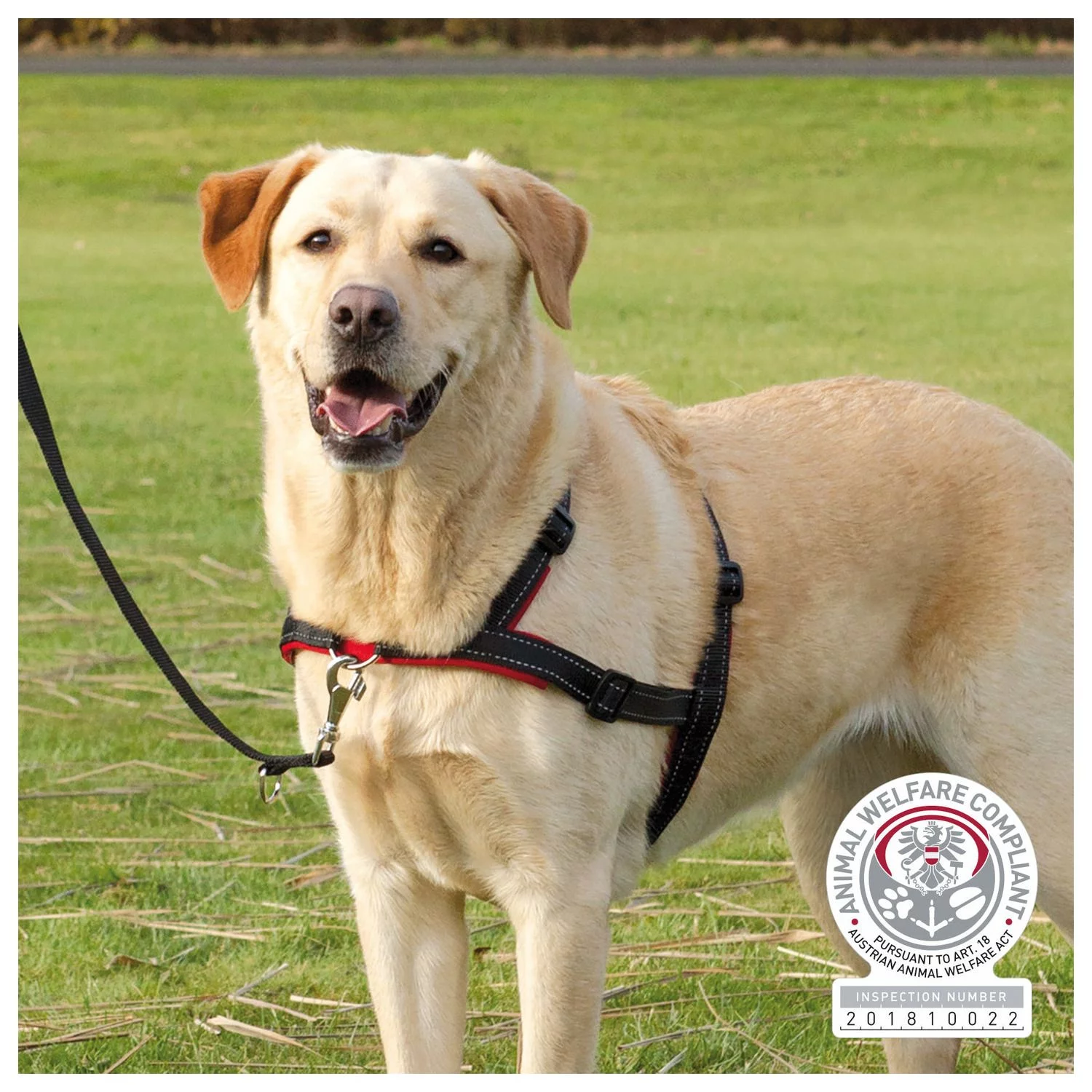 Trixie Lead'N'Walk Soft Tuig Zwart - Hondenharnas 2 Trixie Lead'N'Walk Soft Tuig Zwart - Hondenharnas - Afbeelding 2