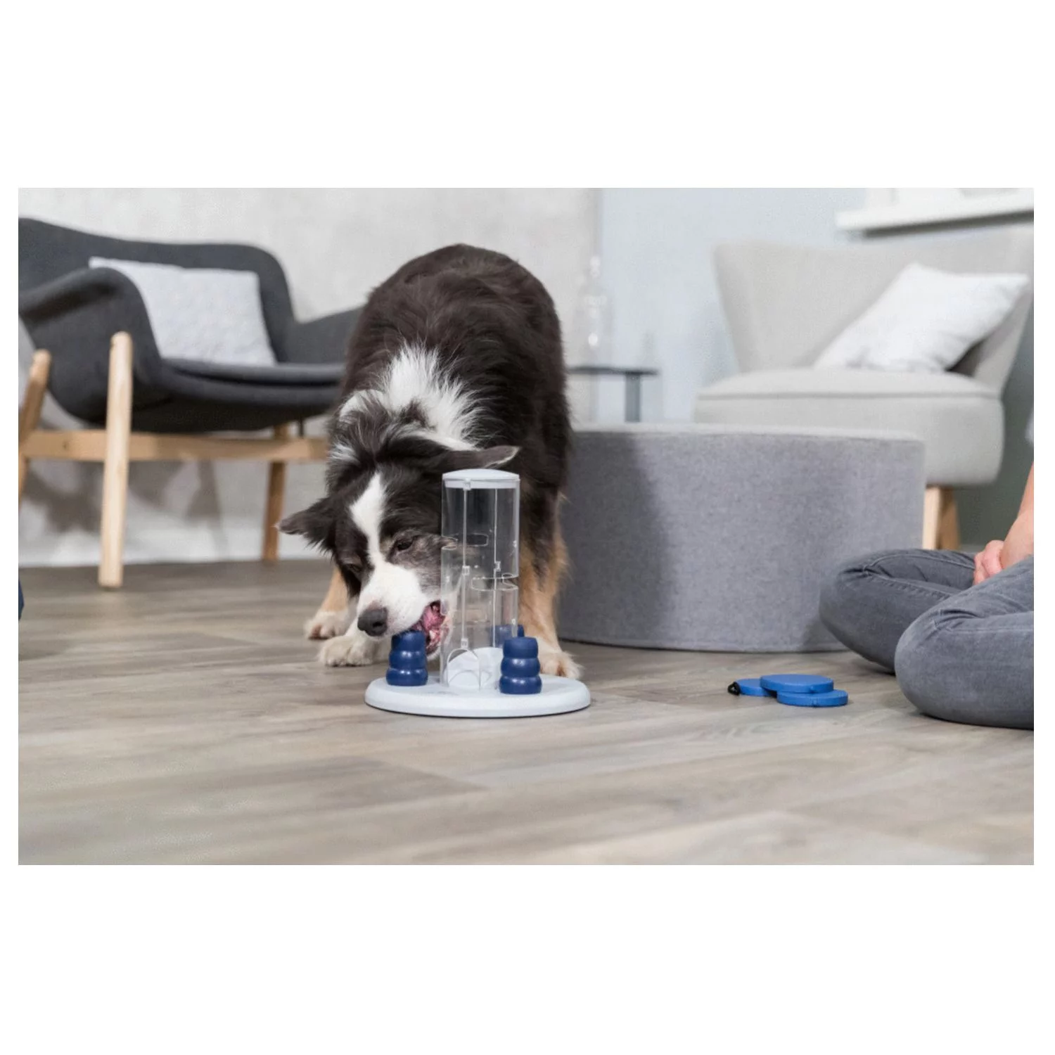 Trixie Dog Activity Gambling Tower Strategiespel - Hondenspeelgoed - Ø25 Cm Donkerblauw Wit Lichtblauw 1 Stuk Level 2 6 Trixie Dog Activity Gambling Tower Strategiespel - Hondenspeelgoed - Ø25 Cm Donkerblauw Wit Lichtblauw 1 Stuk Level 2 - Afbeelding 6