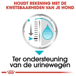 Royal Canin Urinary Care Natvoer - Hondenvoer - 12x85 G -Dierbenodigdheden-Honden 7320 10044836 4