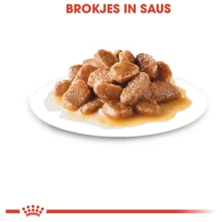 Royal Canin Mini Ageing 12+ Natvoer - Hondenvoer - 12x85 G 8 Royal Canin Mini Ageing 12+ Natvoer - Hondenvoer - 12x85 G -Dierbenodigdheden-Honden 7378 10024478 3