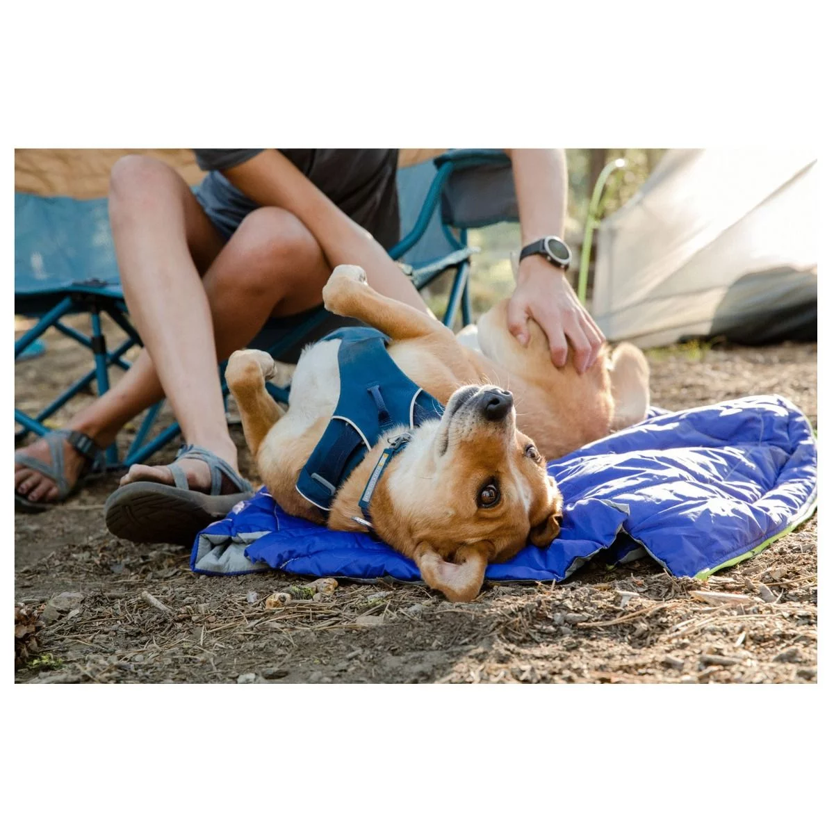 Ruffwear Front Range Harness Blauw - Hondenharnas 8 Ruffwear Front Range Harness Blauw - Hondenharnas - Afbeelding 8