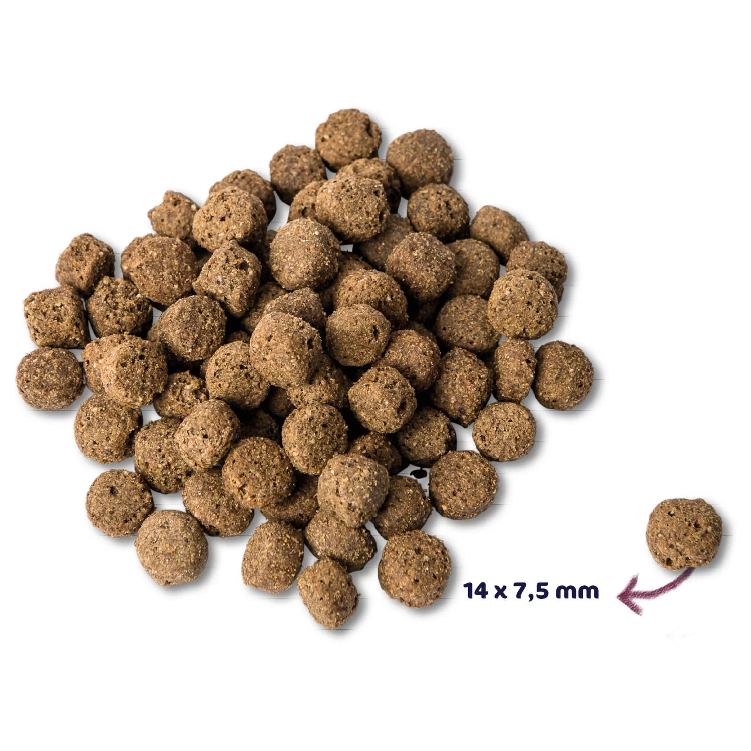 Renske Adult Oceaanvis - Hondenvoer 2 Renske Adult Oceaanvis - Hondenvoer - Afbeelding 2