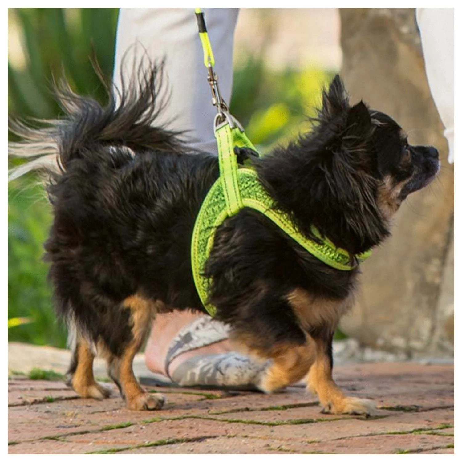 Rogz Utility Fast Fit Tuig Geel - Hondenharnas 2 Rogz Utility Fast Fit Tuig Geel - Hondenharnas - Afbeelding 2