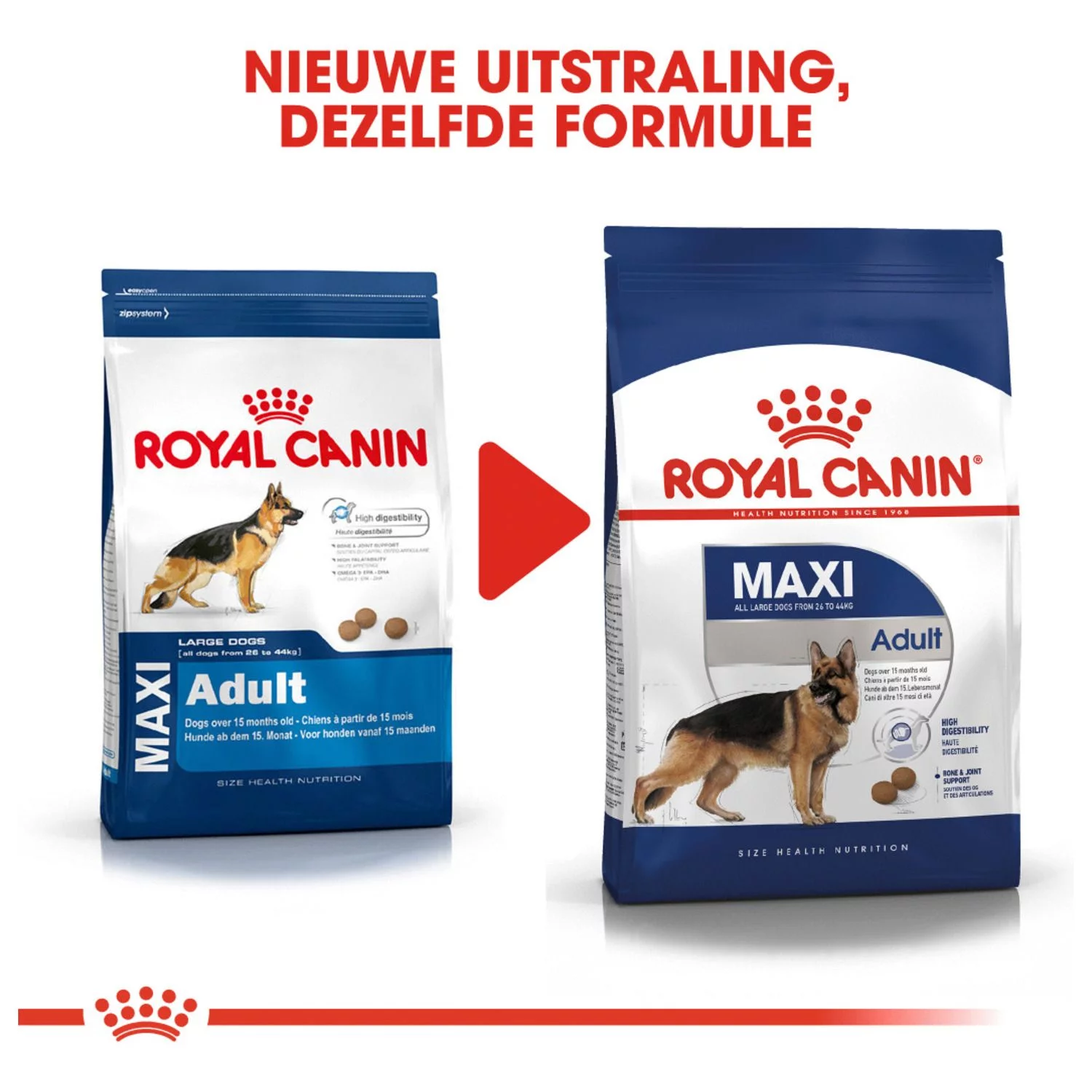 Royal Canin Maxi Adult - Hondenvoer 7 Royal Canin Maxi Adult - Hondenvoer - Afbeelding 7