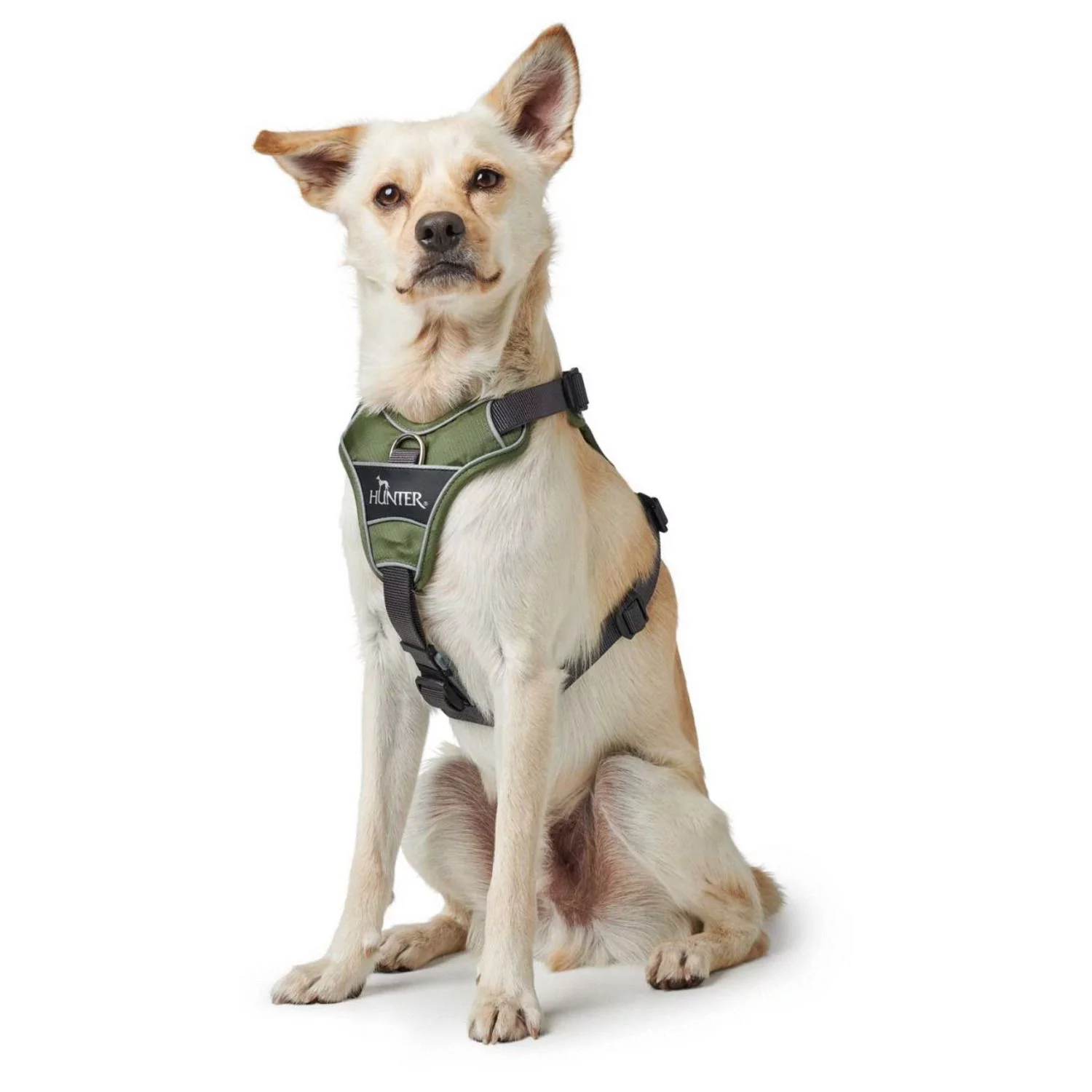 Hunter Harnas Divo Groen&Grijs - Hondentuig 6 Hunter Harnas Divo Groen&Grijs - Hondentuig - Afbeelding 6
