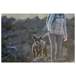 Ruffwear Leash Twilight Gray - Hondenriem - 150x2 Cm Grijs 17 Ruffwear Leash Twilight Gray - Hondenriem - 150x2 Cm Grijs -Dierbenodigdheden-Honden 7804 30018981 9