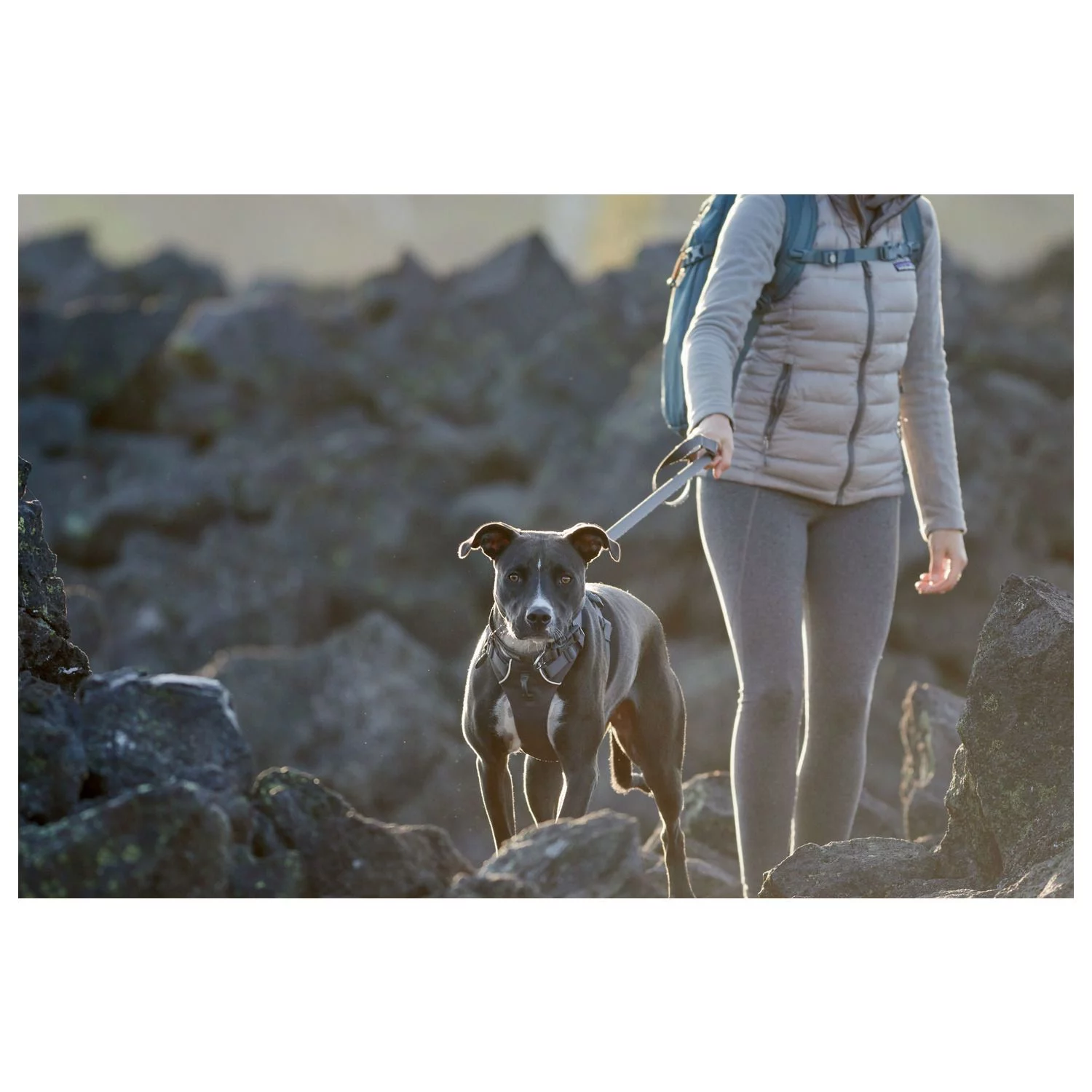 Ruffwear Leash Twilight Gray - Hondenriem - 150x2 Cm Grijs 9 Ruffwear Leash Twilight Gray - Hondenriem - 150x2 Cm Grijs - Afbeelding 9