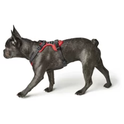 Hunter Harnas Divo Rood&Grijs - Hondentuig -Dierbenodigdheden-Honden 7811 M 30013793 5