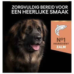 Pro Plan Dog Adult Robuust Sensitive Skin - Hondenvoer - Zalm 14 Kg -Dierbenodigdheden-Honden 7818 341343 8