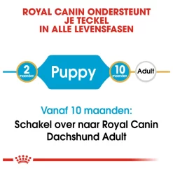 Royal Canin Dachshund - Puppy-Hondenvoer - 1.5 Kg 15 Royal Canin Dachshund - Puppy-Hondenvoer - 1.5 Kg -Dierbenodigdheden-Honden 7862 030613 8