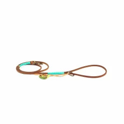 Dwam Puppy Looplijn Billy - Hondenriem - 135x0.7 Cm Bruin Turquoise Xs 11 Dwam Puppy Looplijn Billy - Hondenriem - 135x0.7 Cm Bruin Turquoise Xs -Dierbenodigdheden-Honden 7942 340676 4