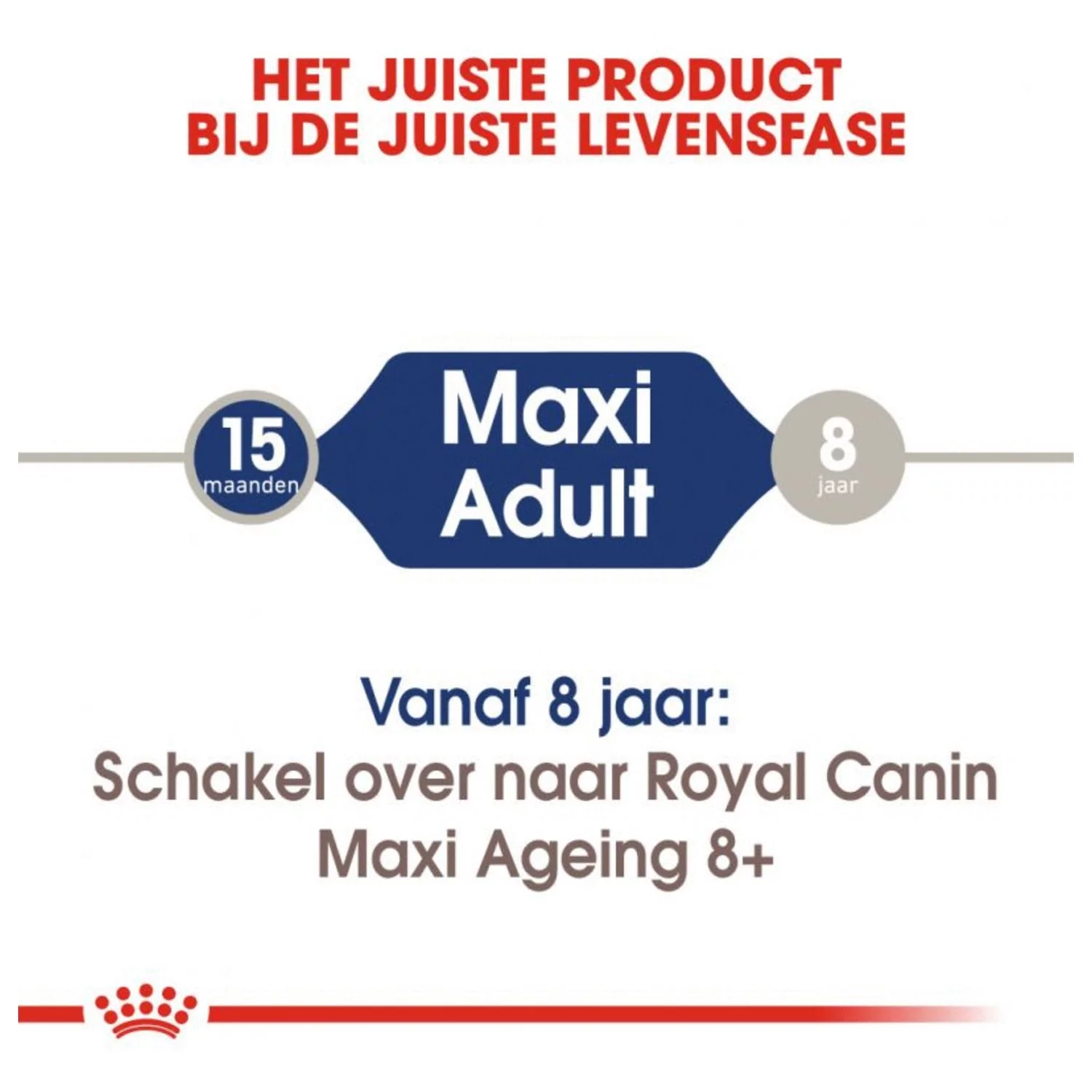Royal Canin Maxi Adult Natvoer - Hondenvoer - 10x140 G 5 Royal Canin Maxi Adult Natvoer - Hondenvoer - 10x140 G - Afbeelding 5