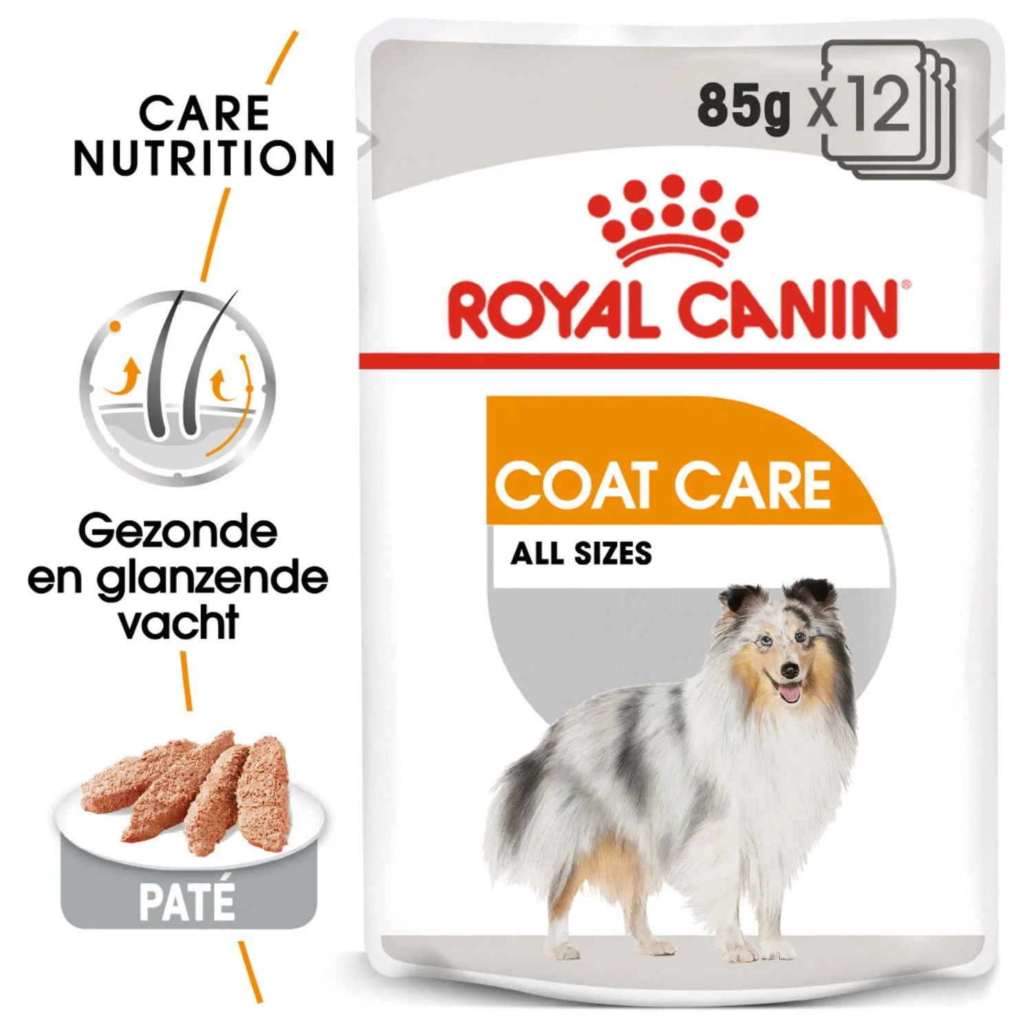 Royal Canin Coat Care Natvoer - Hondenvoer - 12x85 G 8 Royal Canin Coat Care Natvoer - Hondenvoer - 12x85 G - Afbeelding 8