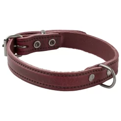 Adori Halsband Italy Met Print Old Silver Paars - Hondenhalsband