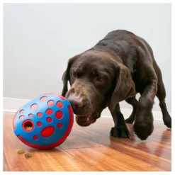 Kong Rewards Wally - Hondenspeelgoed - 12.5x12.5x12.5 Cm Rood Blauw M/L 7 Kong Rewards Wally - Hondenspeelgoed - 12.5x12.5x12.5 Cm Rood Blauw M/L -Dierbenodigdheden-Honden 8197 30019964 4