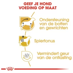 Royal Canin Dachshund Adult - Hondenvoer -Dierbenodigdheden-Honden 8217 M 120675 4