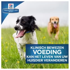 Hill's Prescription Diet B/D Ageing And Alertness Care Zak - Hondenvoer - Kip 12 Kg 17 Hill's Prescription Diet B/D Ageing And Alertness Care Zak - Hondenvoer - Kip 12 Kg -Dierbenodigdheden-Honden 8235 10022292 12