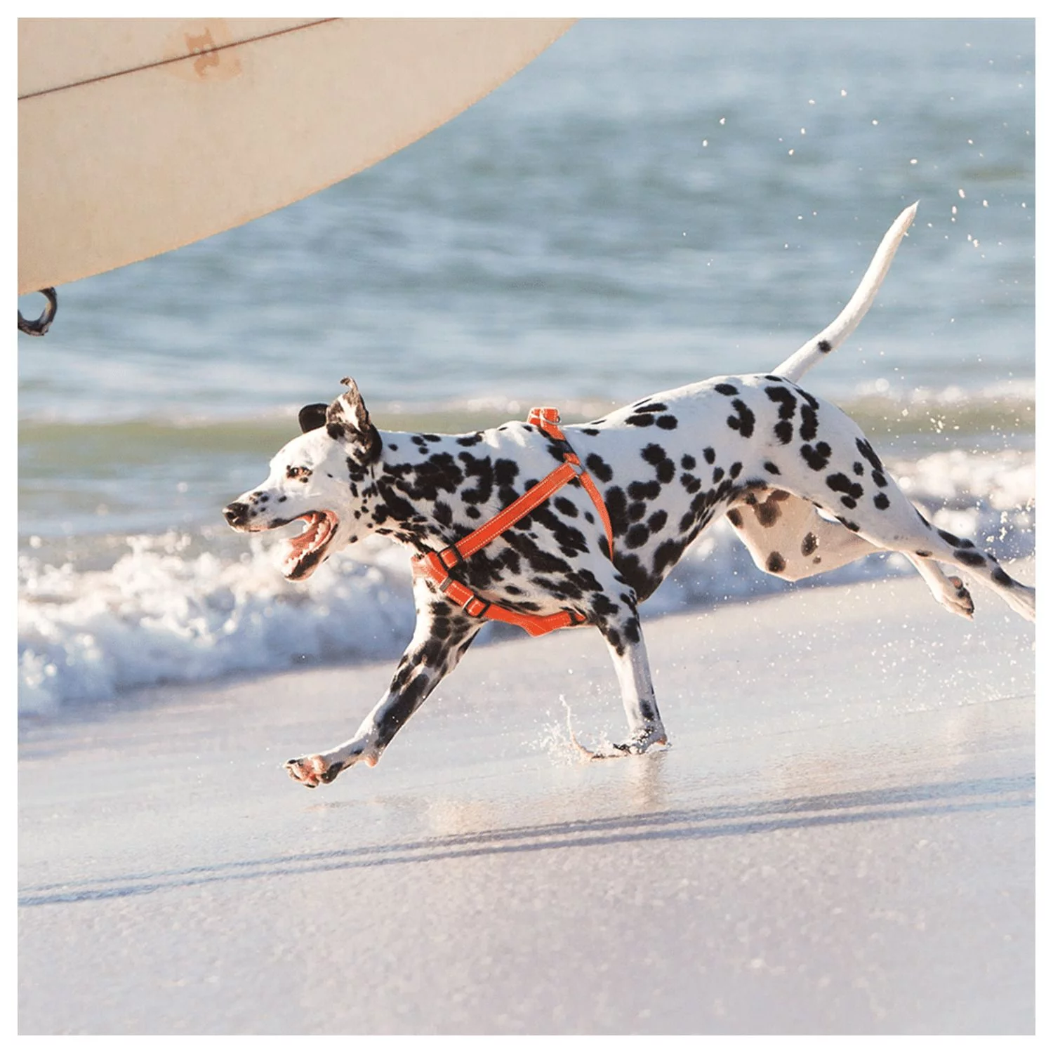 Rogz Utility Step-In Tuig - Hondenharnas - 53-76x2 Cm Rood L 2 Rogz Utility Step-In Tuig - Hondenharnas - 53-76x2 Cm Rood L - Afbeelding 2