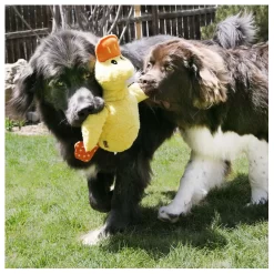 Kong Comfort Jumbo Eend - Hondenspeelgoed - 40X41.5X10 Cm Assorti Xl -Dierbenodigdheden-Honden 8365 10054417 4