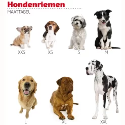 Adori Traininglijn Nylon Blauw - Hondenriem -Dierbenodigdheden-Honden 8428 M 054590 9