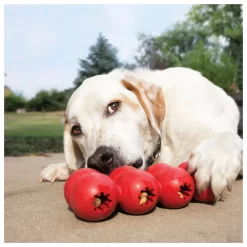 Kong Goodie Ribbon Rood - Hondenspeelgoed 5 Kong Goodie Ribbon Rood - Hondenspeelgoed -Dierbenodigdheden-Honden 8494 M 10047351 3