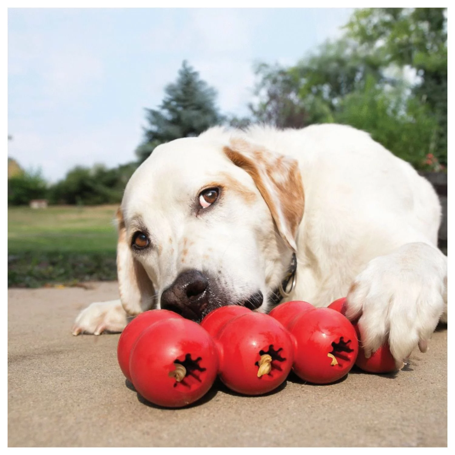 Kong Goodie Ribbon Rood - Hondenspeelgoed 3 Kong Goodie Ribbon Rood - Hondenspeelgoed - Afbeelding 3
