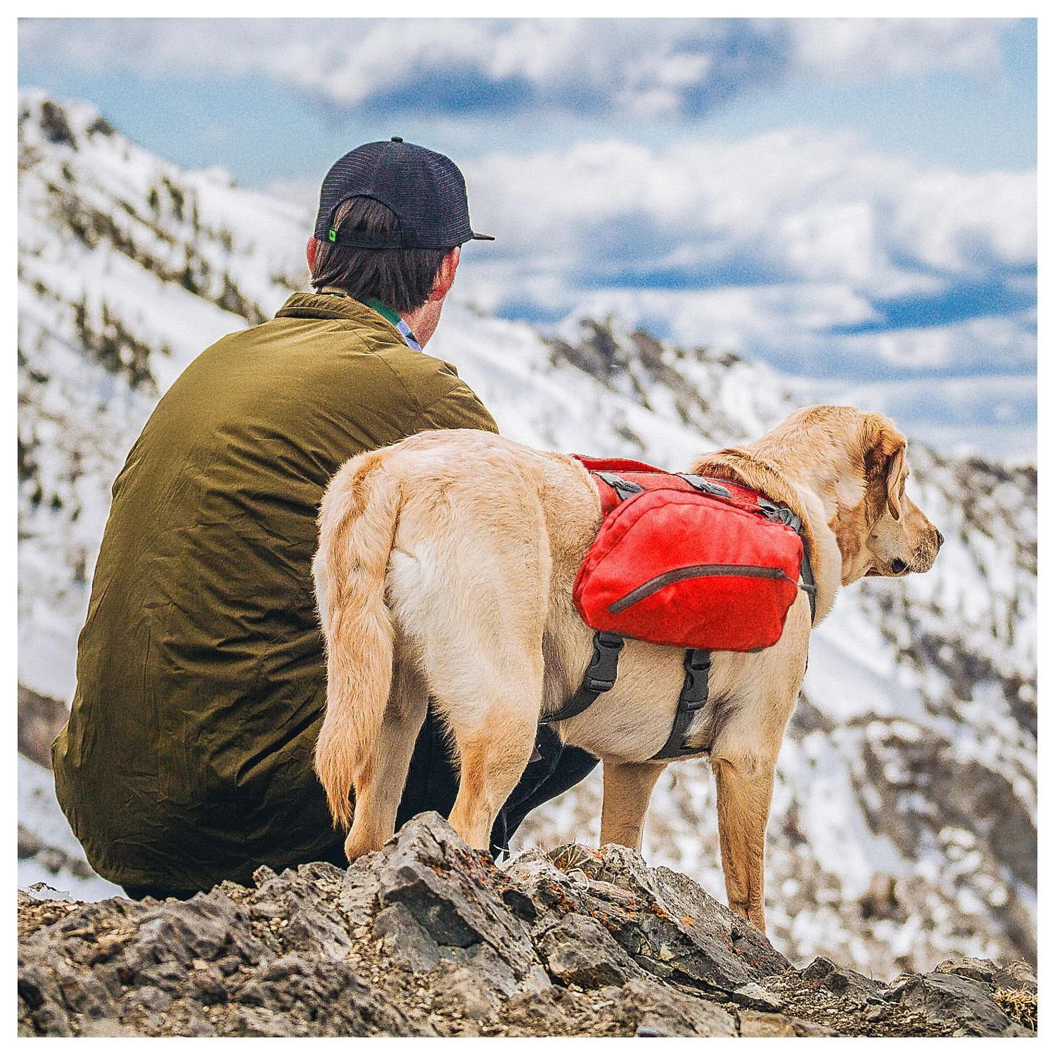 Kurgo Big Baxter Hondenrugzak - Hondendraagzak - Rood 22.5 Tot 50 Kg 5 Kurgo Big Baxter Hondenrugzak - Hondendraagzak - Rood 22.5 Tot 50 Kg - Afbeelding 5